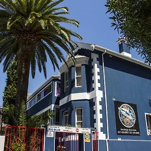 Big Blue Backpackers , Cape Town South Africa